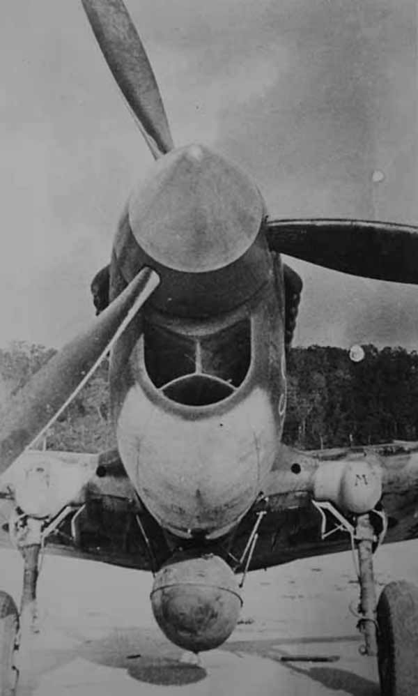 Curtiss P 40 Front View World War Photos