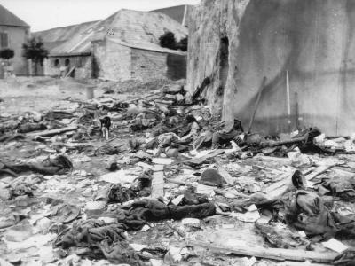 Dog with KIA Germans Fort Du Roule Normandy