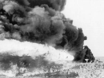 Flamm Panzerkampfwagen B2 740 (f) 6