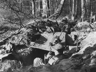 US 7th Army Troops in Foxhole in Bienwald Forest Scheibenhardt Germany 1945
