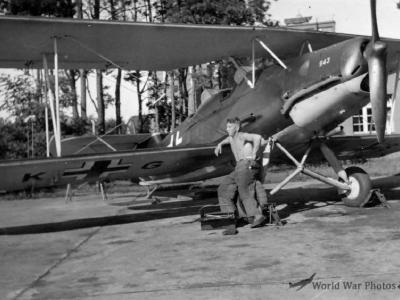 Arado Ar 66