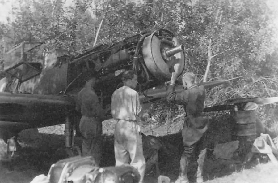 Bf 109 F of 10/JG 51 Summer 1942 Eastern front
