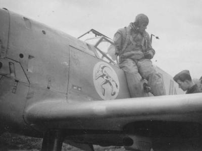 Bf 109 fighter with Staffelwappen JG 137