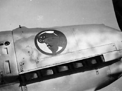 Messerschmitt Bf109E II.JG 27 geschwader marking 1941