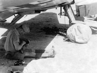 Messerschmitt Bf109F 5.JG 27 Africa 1942