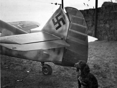 Tail of the Bf 109 F piloted by Ace Werner Mölders