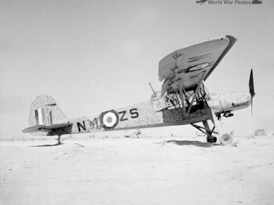 British Fi 156C-3/trop
