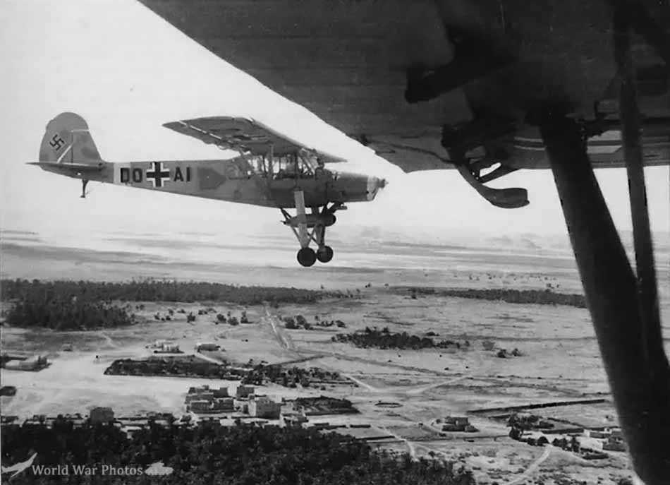 Fi 156C-5 in flight