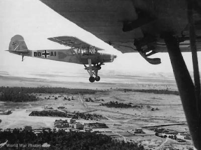 Fi 156C-5 in flight