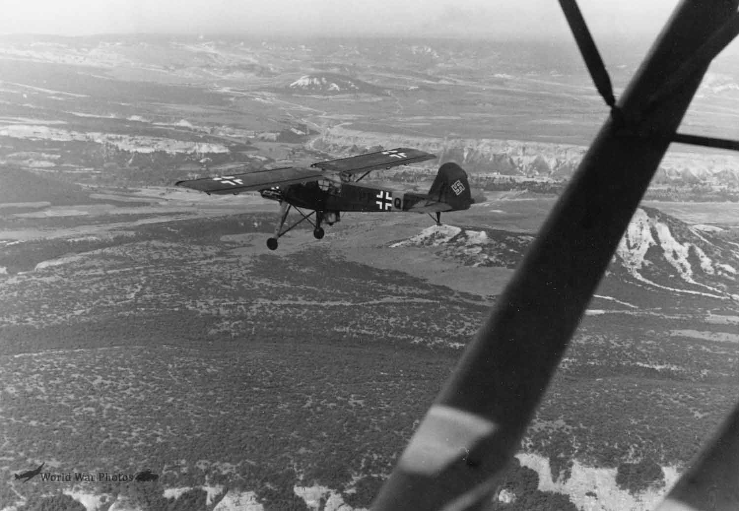 Fi 156 PP+QZ over Crimea June 1942