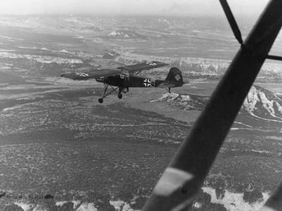 Fi 156 PP+QZ over Crimea June 1942