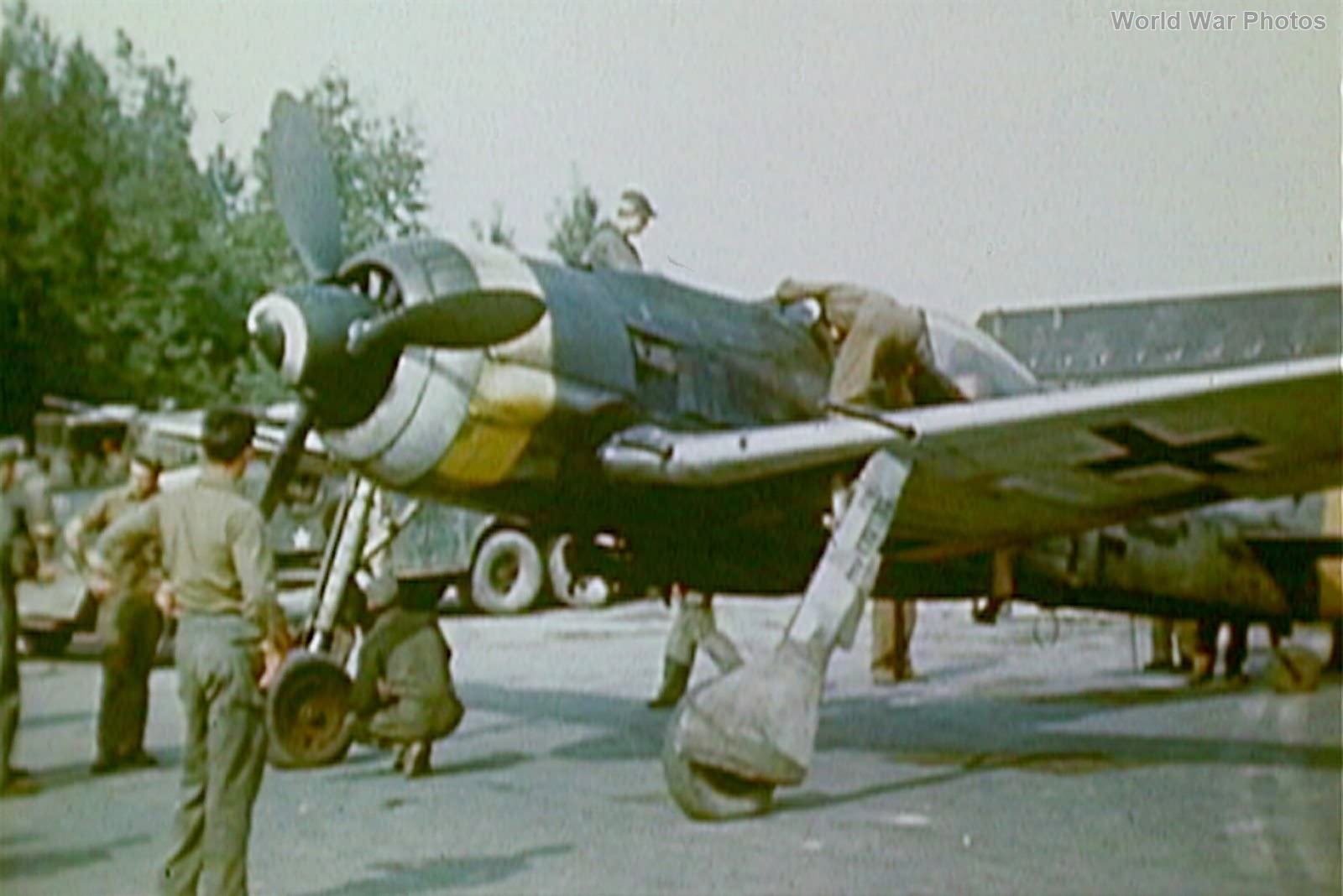 Captured FW190 in Color