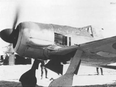 Fw 190A-5 in Japan