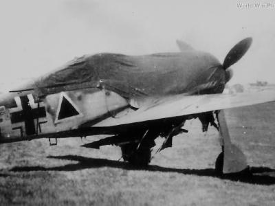 Fw190F