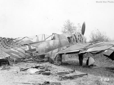 Fw 190 in 1943