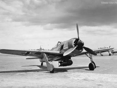 fighter-bomber Fw 190