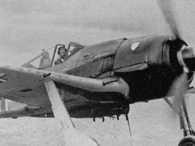 Sturmbock Fw 190A-8