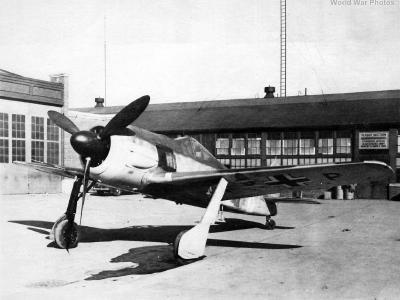 Fw 190G-3 in USA