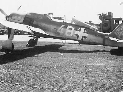 Trainer Fw 190