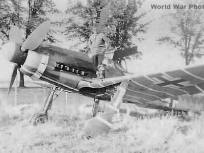 Captured Fw 190D-9 of the Papagei Staffel