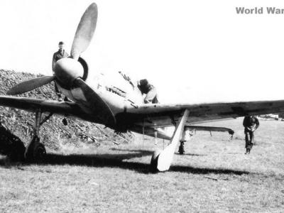 Captured Focke-Wulf Fw 190D