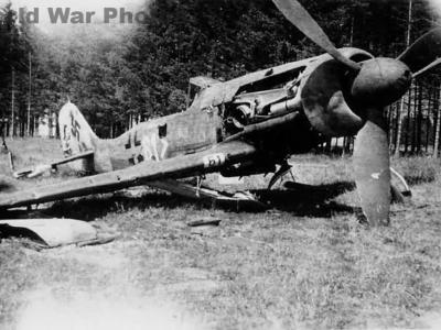 Focke-Wulf Fw 190D „white 61”