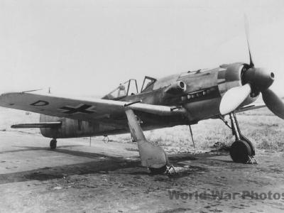 Focke-Wulf Fw190 D-9/R1 170003