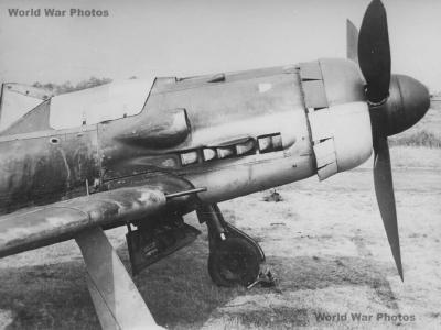Fw 190D