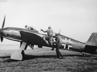 He 100D-1 „White 8”