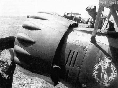 Hs123 8
