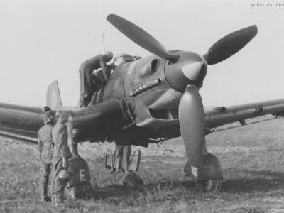 Ju87D Stuka