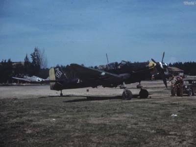 Ju 87D-5N of the NSGr 10 Fürth 1945
