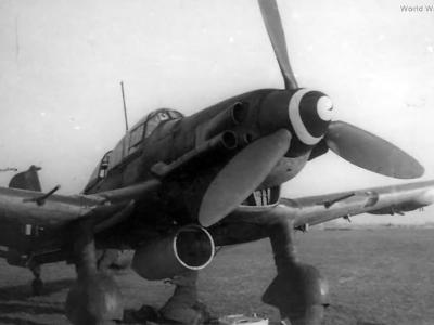 Ju 87 D-3 of the 2./NSGr 2 Koln-Ostheim March 1945