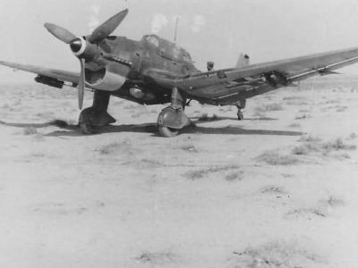Ju 87B of the StG 1 Afrika 1941-1942