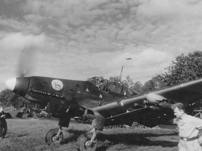 Junkers Ju 87 D of the II/StG 2