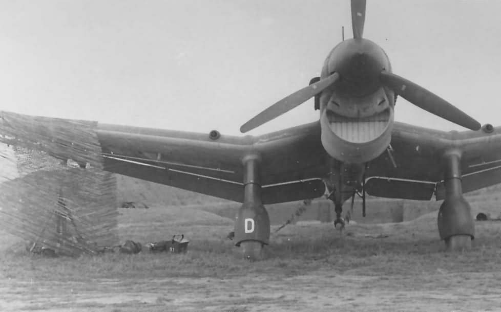 Junkers Ju 87 Front View 2 | World War Photos