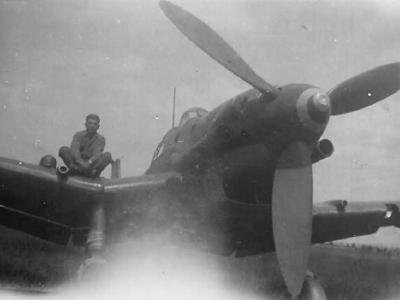 captured german Stuka Ju 87D
