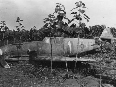 Romanian Me109G white 1 233