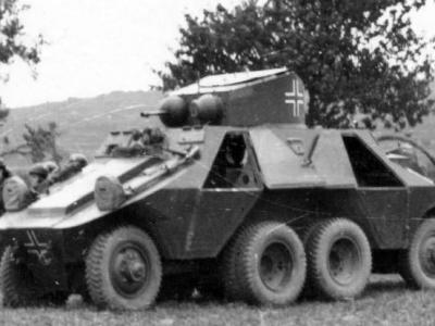 Steyr ADGZ in german service