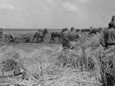 camouflaged Flak 88 Russia