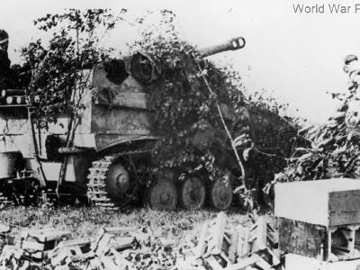 Wespe on firing position