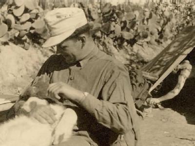 Afrika korps DAK in Afrika German soldier with dog