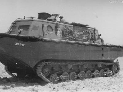 LWS 667