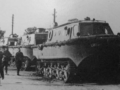 LWS 6