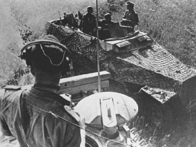 SdKfz 251 with camo net