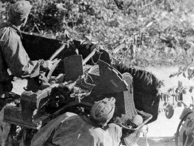 Flak 30 on SdKfz 10/4