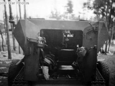 Sdkfz 254 rear view