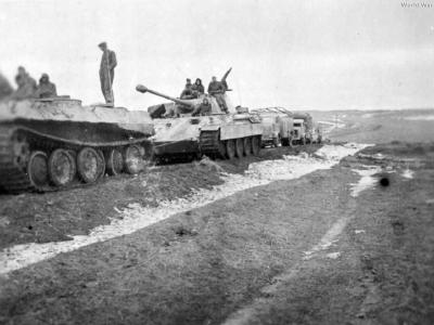 Bergepanzerwagen with Panther
