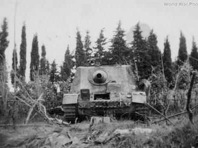 Brummbar Anzio