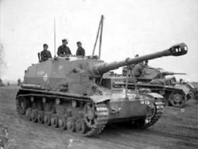 Dicker Max 7